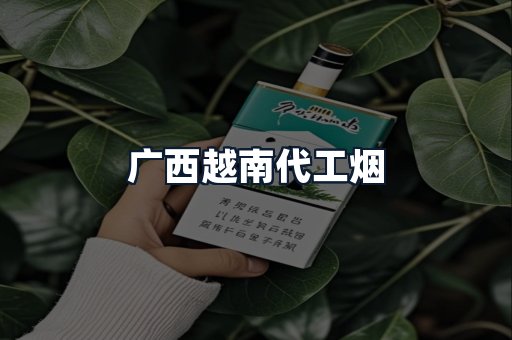 广西越南代工烟